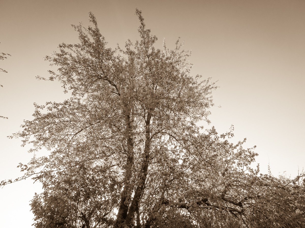 Galeriebild