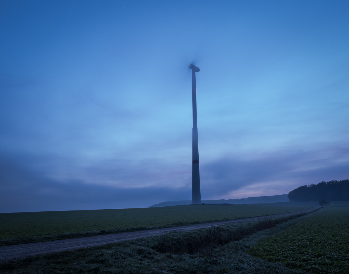 Galeriebild