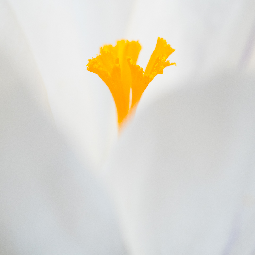 Galeriebild