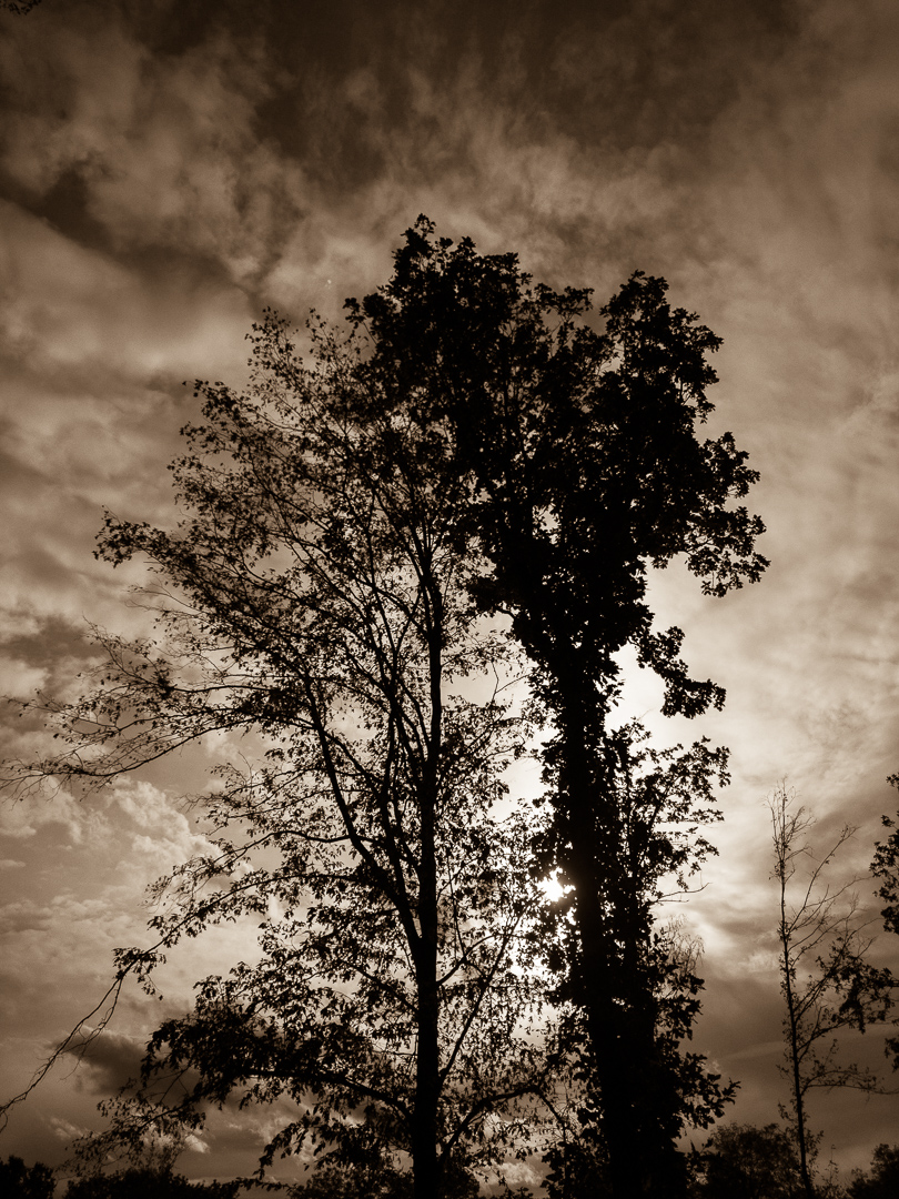 Galeriebild
