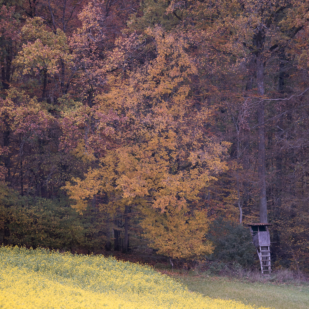Galeriebild