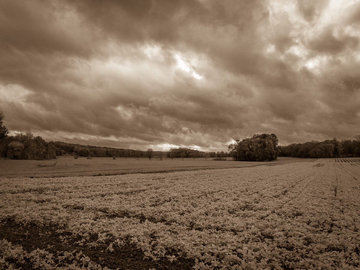 Galeriebild