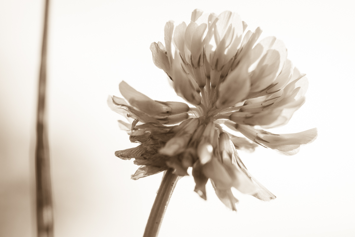 Galeriebild