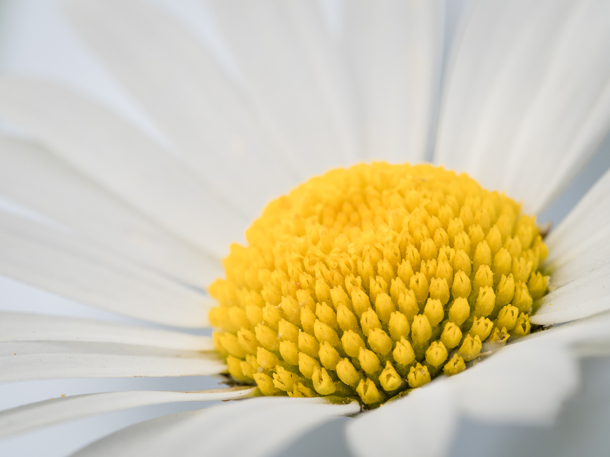 Galeriebild