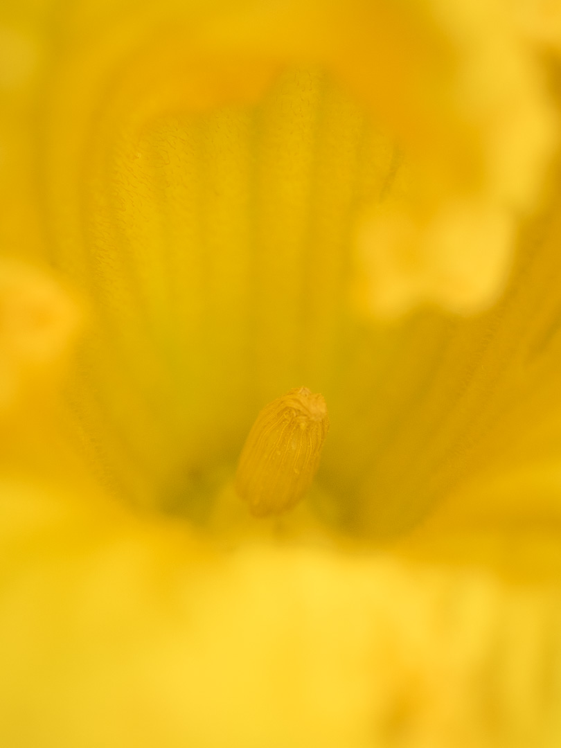 Galeriebild