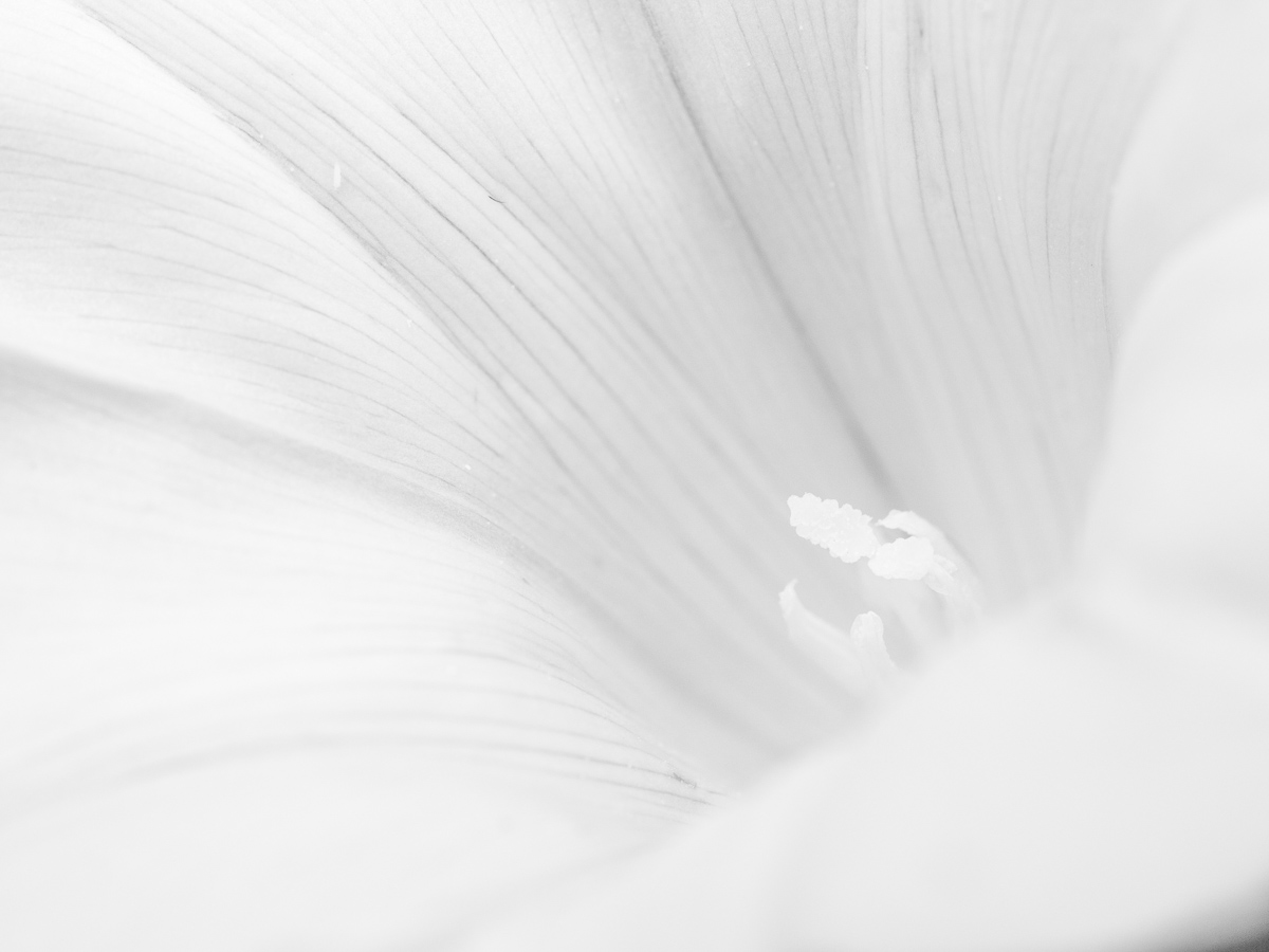 Galeriebild