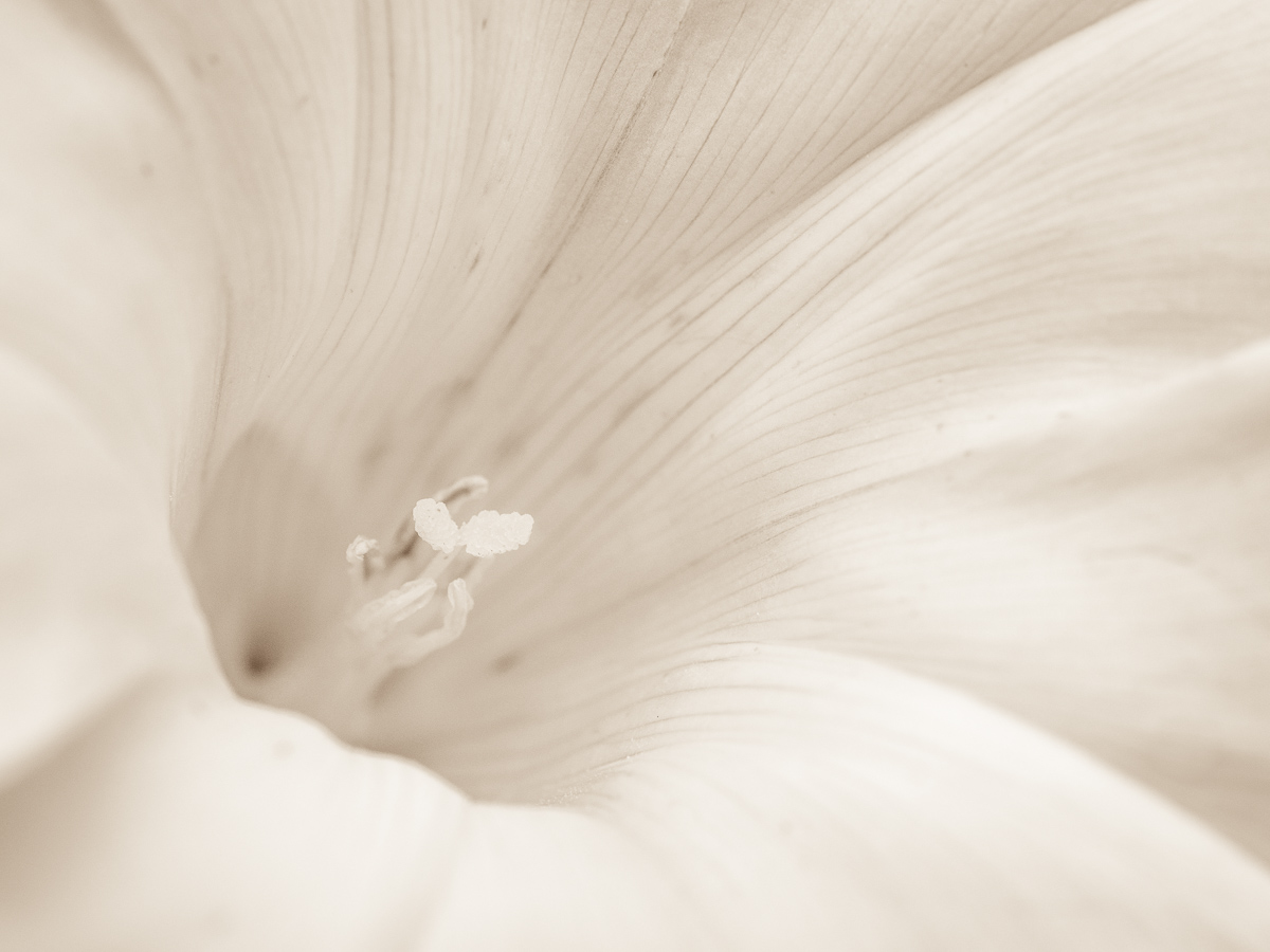 Galeriebild