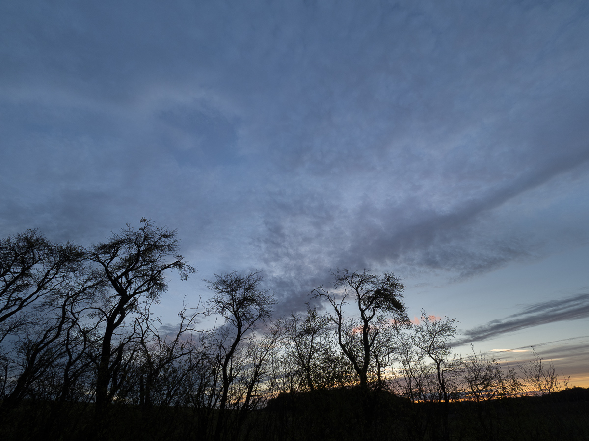 Galeriebild