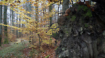 Bild anschauen