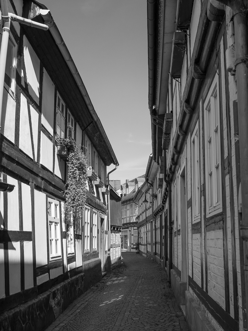 Galeriebild