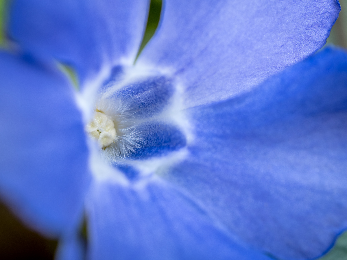Galeriebild