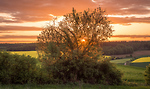 Bild anschauen