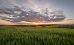 Bild anschauen