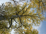 Bild anschauen