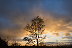 Bild anschauen