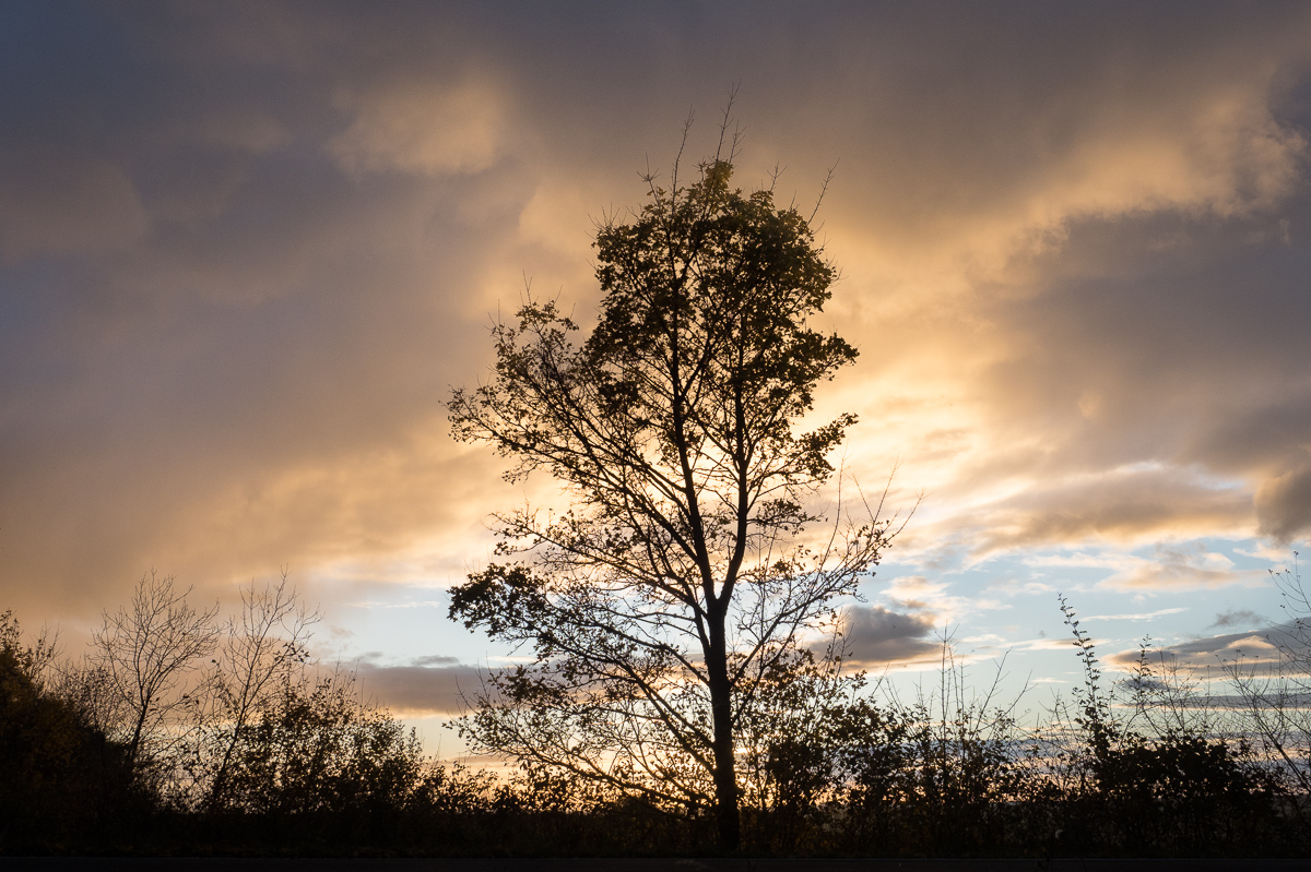 Galeriebild