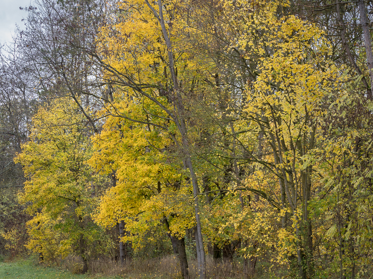 Galeriebild