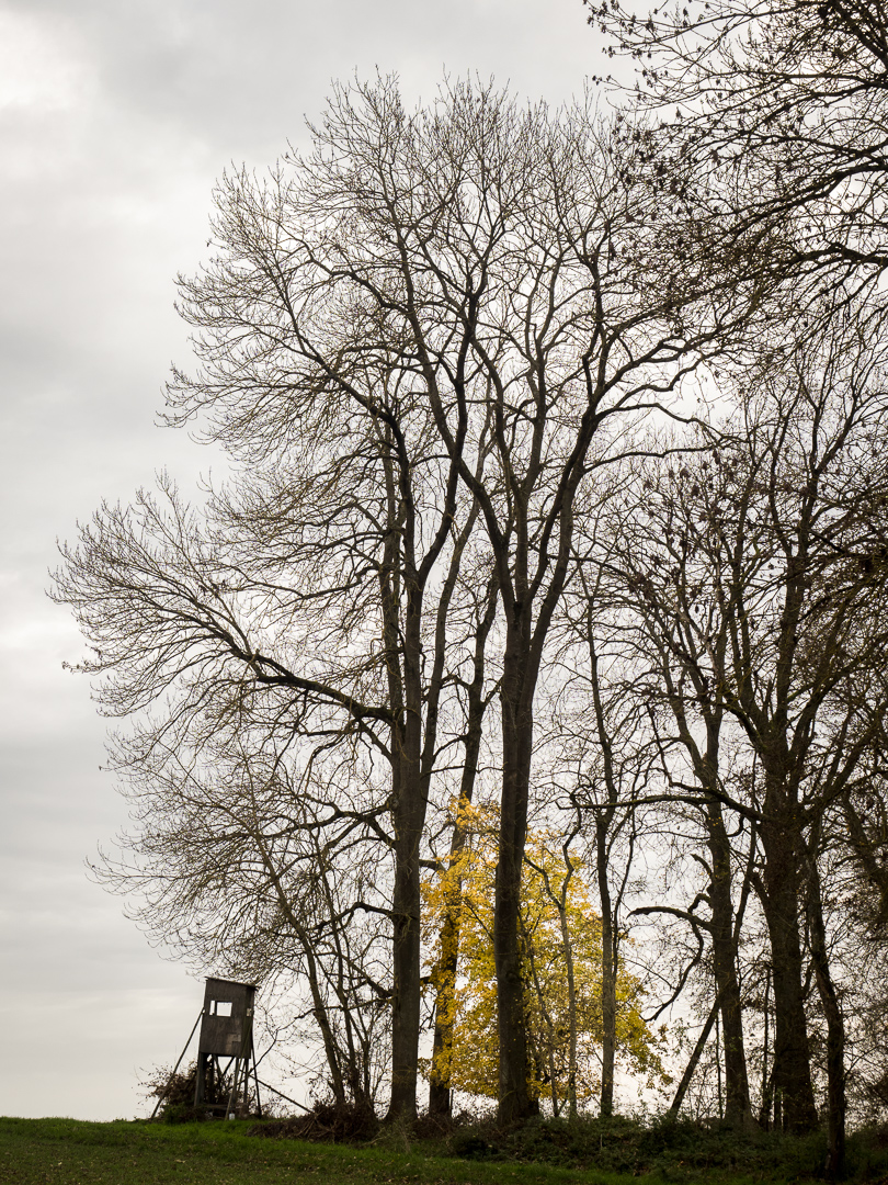 Galeriebild