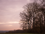 Bild anschauen