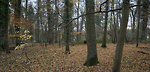 Bild anschauen