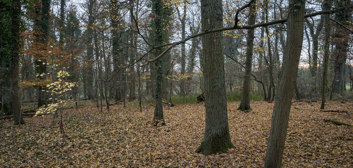 Galeriebild