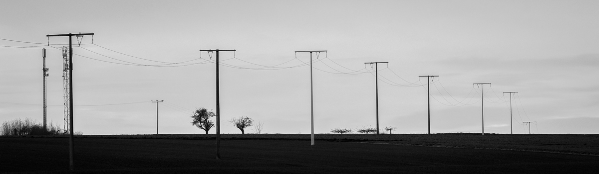 Galeriebild