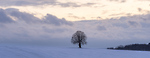 Bild anschauen