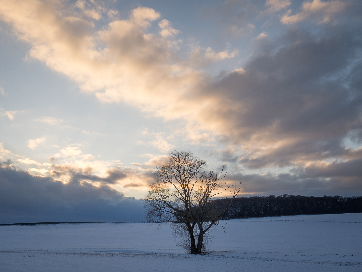 Galeriebild