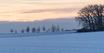 Bild anschauen