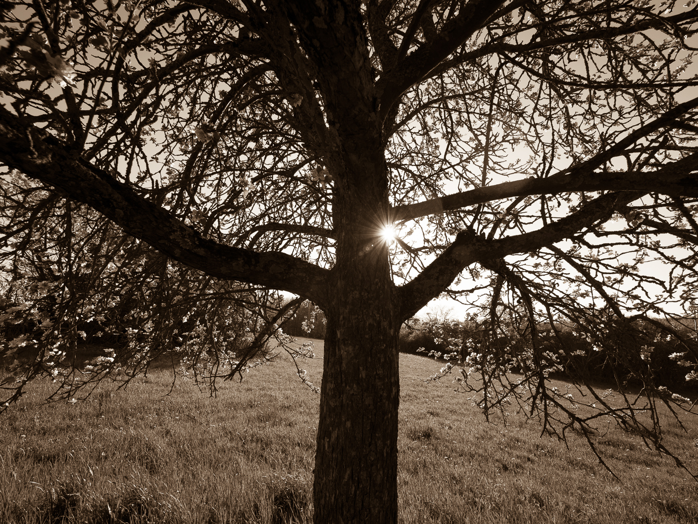 Galeriebild