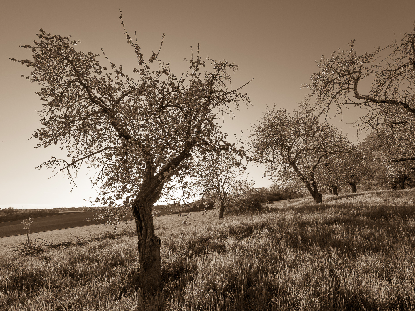 Galeriebild