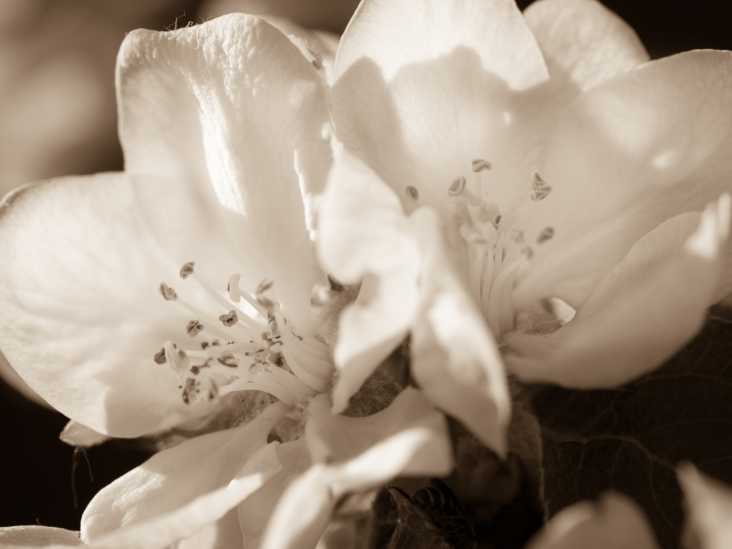 Galeriebild