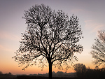 Bild anschauen