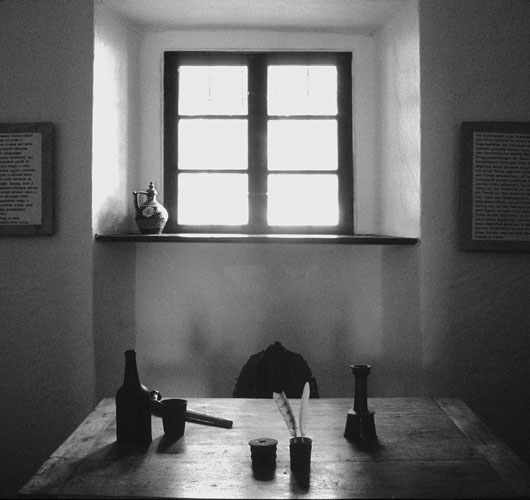 Galeriebild