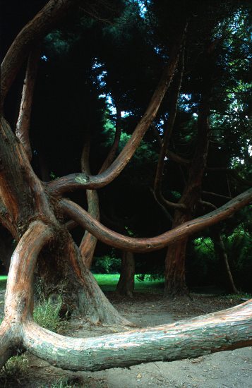 Foto Serie Irland 2003