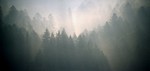 Foto Galerie Landschaft
