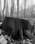 Foto Galerie Landschaft