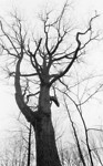 Foto Galerie Landschaft