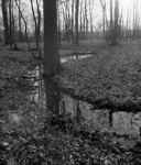 Foto Galerie Landschaft