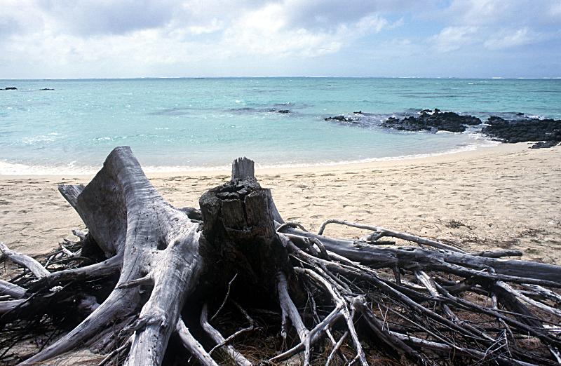 Foto Serie Mauritius 2002